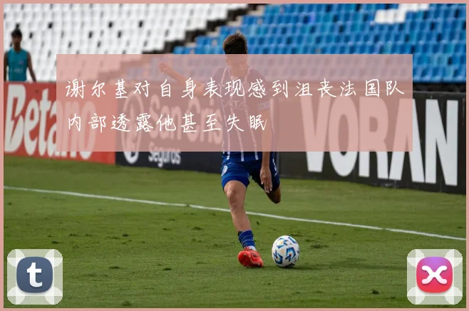 谢尔基对自身表现感到沮丧法国队内部透露他甚至失眠