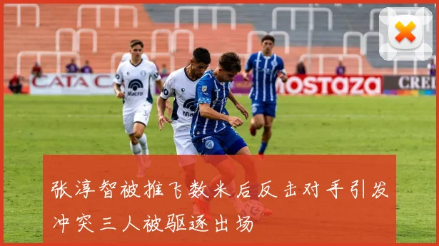 张淳智被推飞数米后反击对手引发冲突三人被驱逐出场